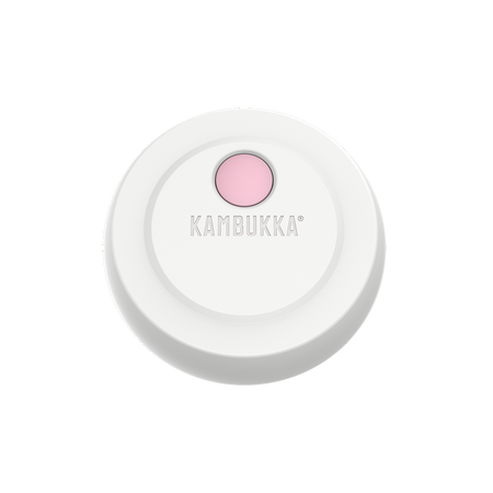 Kambukka Frozen Yoghurt